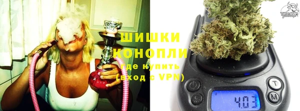 МДПВ Бородино