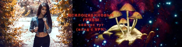 МДПВ Бородино