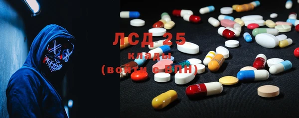 МДПВ Бородино