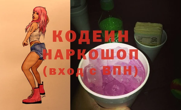 МДПВ Бородино