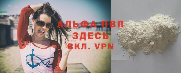 МДПВ Бородино