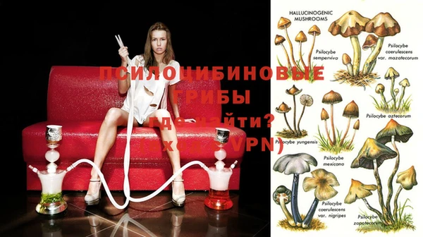спайс Бугульма