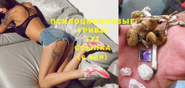 МДПВ Бородино