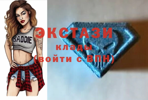 МДПВ Бородино