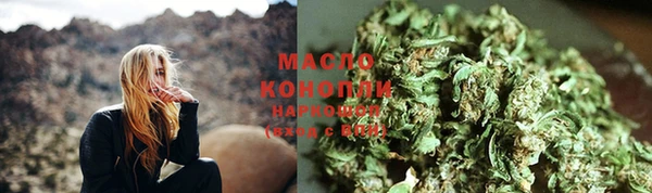 МДПВ Бородино