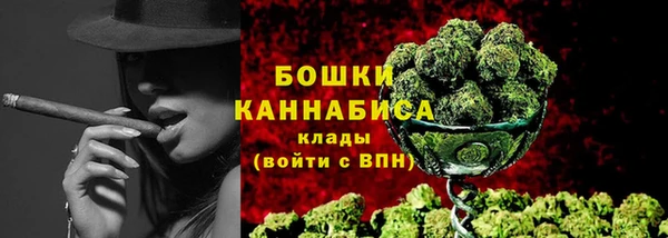 МДПВ Бородино